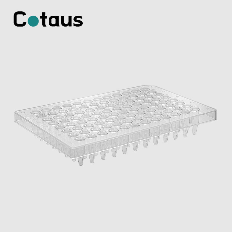 96 Bene 0.2ml Transparent Dimidium Skirt PCR Plate