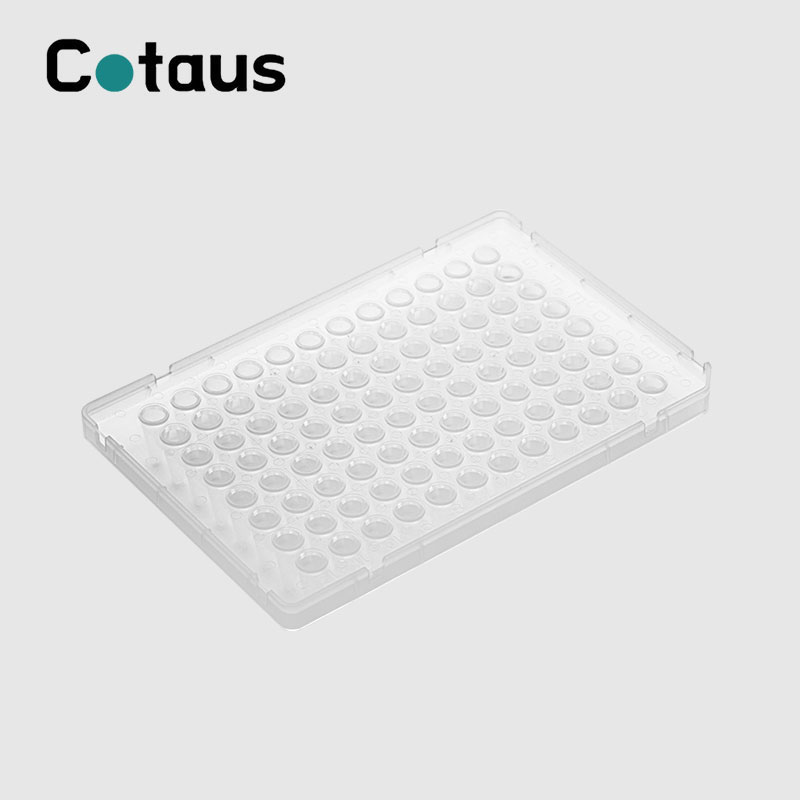 96 Bene 0.1ml Duplex Color Full Skirt PCR Plate