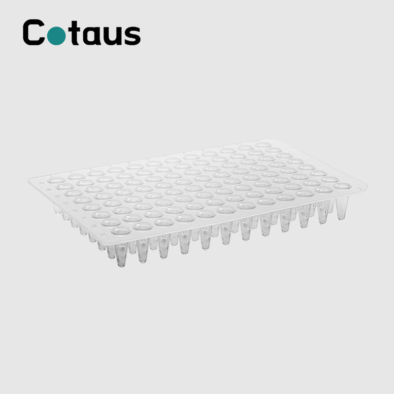 96 Bene 0.1ml Transparent No Skirt PCR Plate