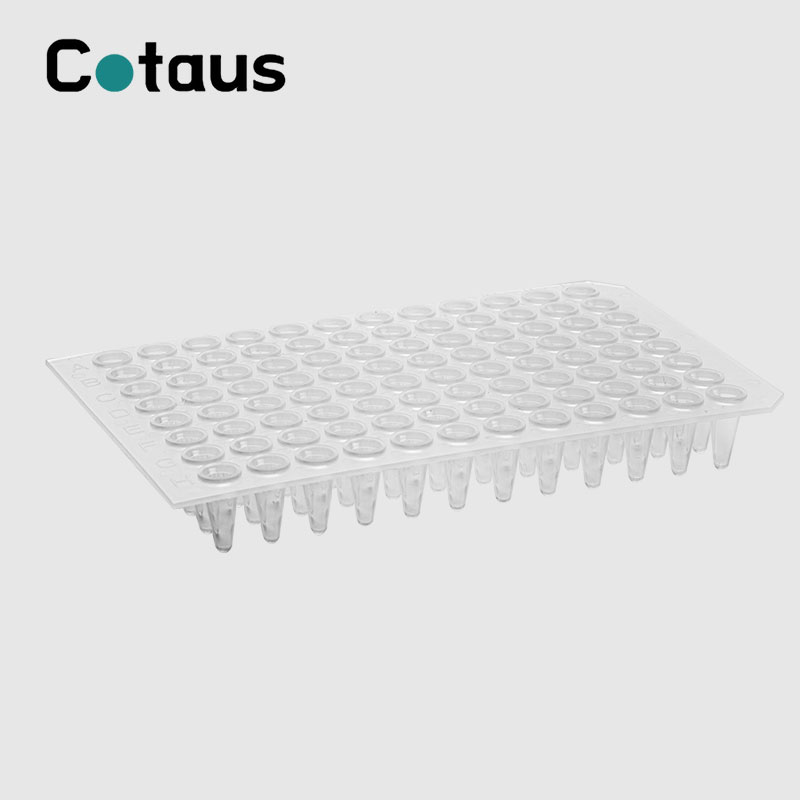 96 Bene 0.2ml Transparent No Skirt PCR Plate